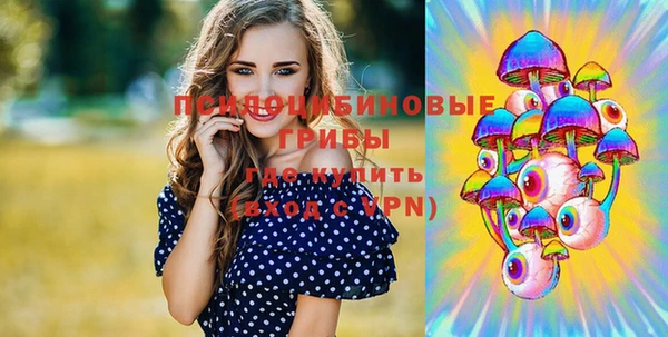 сатива Арсеньев