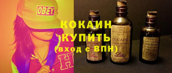 сатива Арсеньев