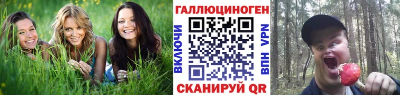 Купить где Белореченск Псилоцибиновые грибы Cubensis